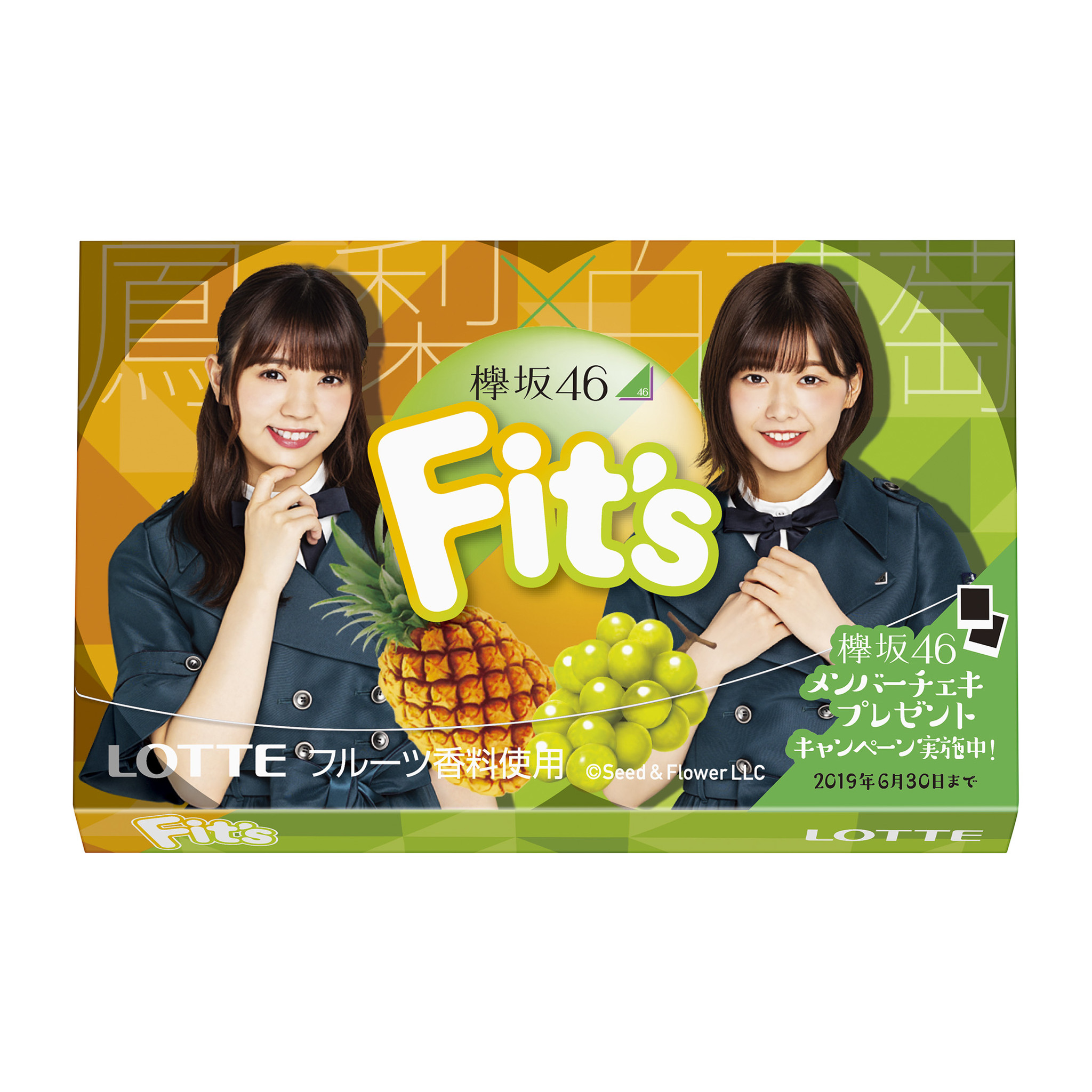 欅坂４６とｆｉｔ ｓが初コラボ ロッテ ｆｉｔ ｓ 欅坂４６ガム 鳳梨 白葡萄 林檎 檸檬 デザイン各３種で２０１９年１月２２日 火 より全国で発売 株式会社ロッテのプレスリリース