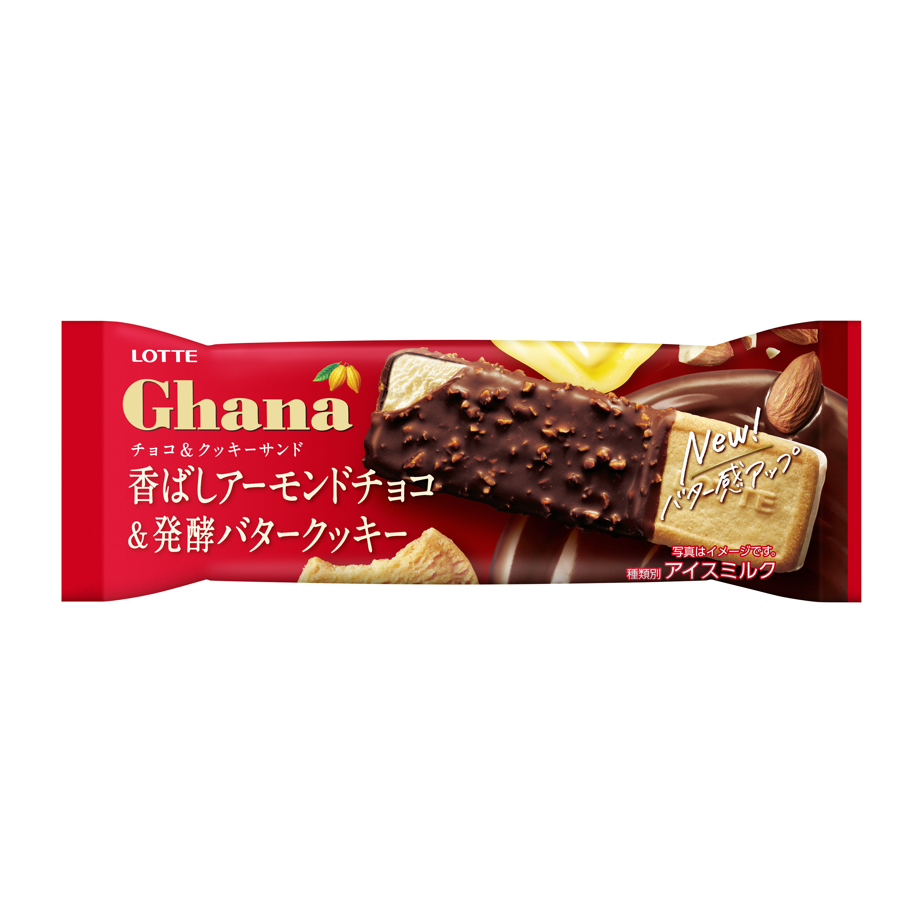 チョコクッキー様 www.pibid.org