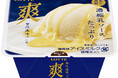 濃縮乳ソースをたっぷり使用した贅沢な爽が登場!『爽 贅沢濃味(こいあじ)バニラ』2024年12月17日(火)より全国のコンビニエンスストアで先行発売