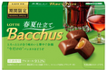 バッカスファンの34%しかまだ知らない!?春夏限定のおいしさ(※) 「バッカス 春夏仕立て」 今年も登場