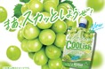 芳醇な果実を頬張ったようなジューシーさが楽しめる！気持ちをスカッとさせる「飲むアイス」が登場！『クーリッシュ 香るマスカット』2026年4月20日(月)に全国発売