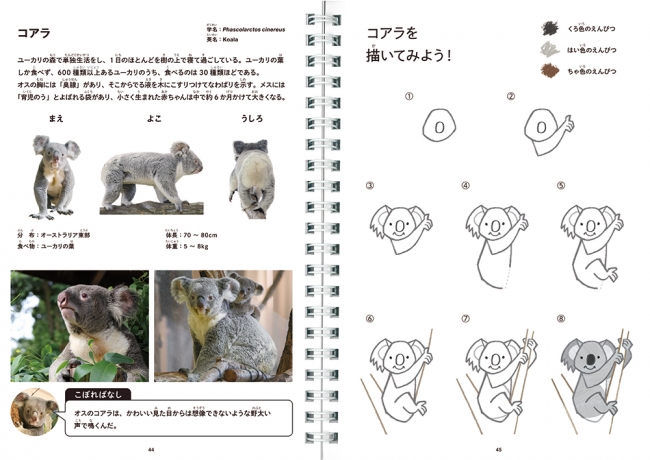 横浜市内3動物園監修 コクヨのえほん「おえかきずかん」を発売｜コクヨ