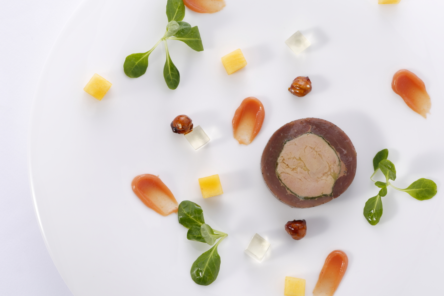 は自分にプチご褒美を 新フランス料理 ピエール・ガニエールの味 洋書
