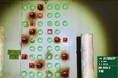 【橋梁補修工事】約38,000本のボルト腐食判定をAIで効率化、診断期間を3分の1に短縮