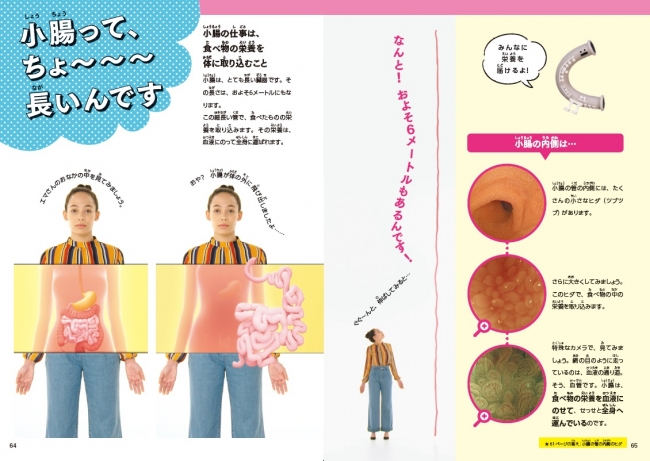 NHKテレビ DVD BOOK バビブベボディ - 健康・医学