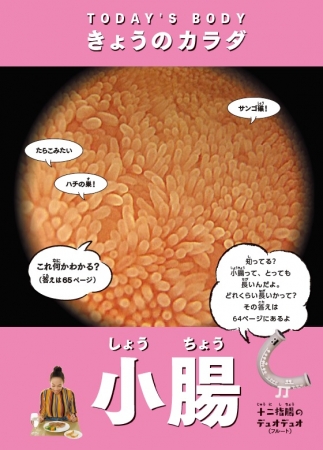 休校で家にいる子も興味津々！ 知ってるようで知らない自分のカラダ