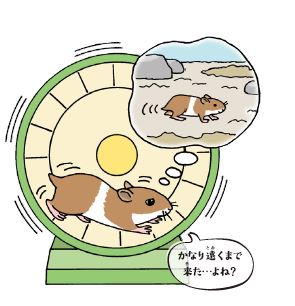 子どもたちにワクワクを 子どもが大好きな 動物 夜 をテーマにした おもしろイラスト図鑑 株式会社主婦の友社 のプレスリリース