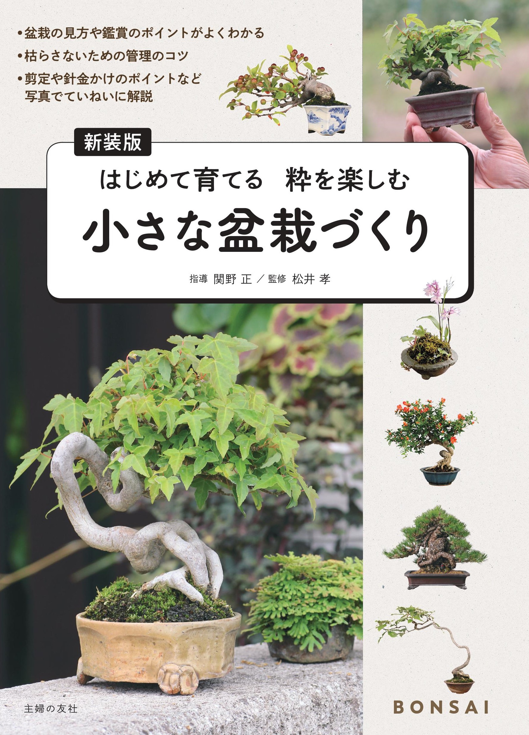 日本の四季を感じる小さな世界 ミニ盆栽をやってみよう 株式会社主婦の友社 のプレスリリース