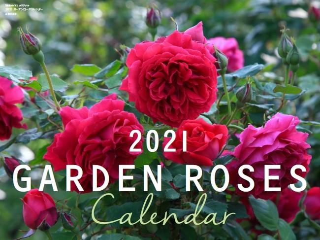 毎年人気のカレンダーが今年もいよいよ発売 ２０２１年版ガーデンローズカレンダー ガーデンフラワーカレンダーで癒やしの毎日を 株式会社主婦の友社 のプレスリリース