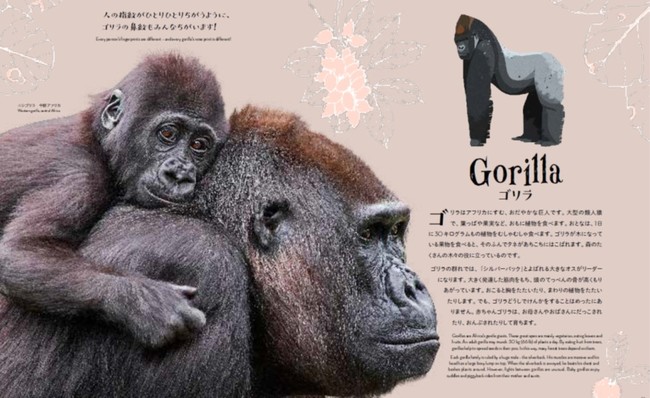 世界で４５万部の大ヒットシリーズ 待望の日本語版が２冊同時に発売 世界の動物や植物が うつくしすぎる と話題の図鑑 株式会社主婦の友社 のプレスリリース