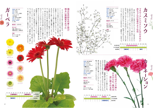 四季折々に咲く花1種の名前や特徴がひと目でわかる 株式会社主婦の友社 のプレスリリース