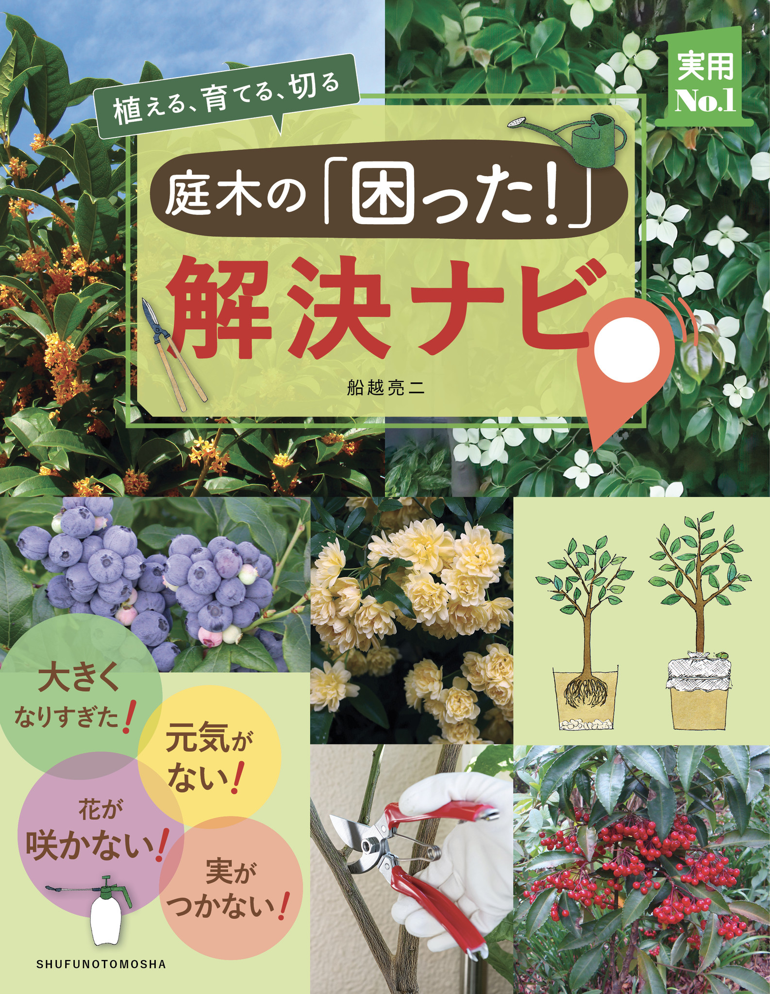 庭木の育て方に関する疑問をスパッと解決する 庭木の 困った 解決ナビ 発売 株式会社主婦の友社 のプレスリリース