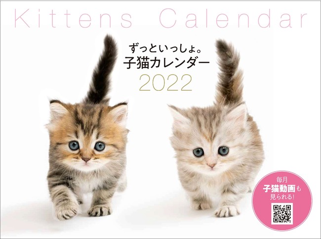 写真も動画も 毎月かわいい子猫に癒やされるカレンダーが発売 株式会社主婦の友社 のプレスリリース