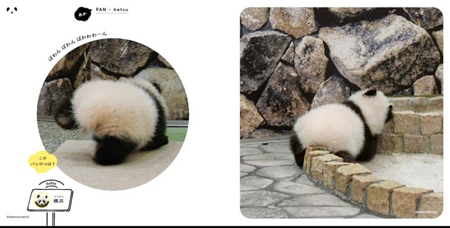 パンダのおしりが可愛すぎる写真集 パンけつ が発売 双子赤ちゃんパンダ シャオシャオとレイレイも登場 株式会社主婦の友社 のプレスリリース