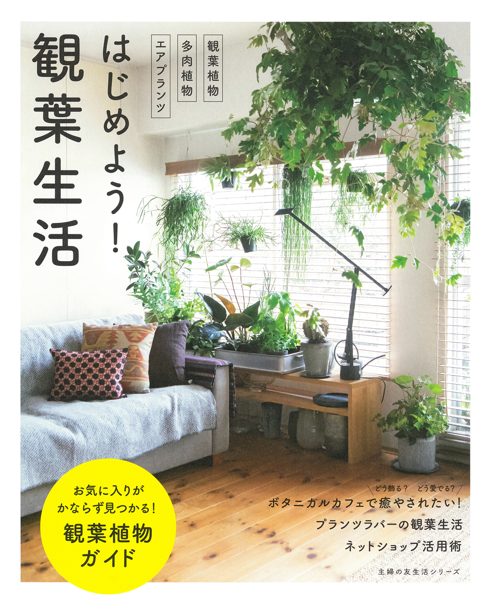 コロナ禍で観葉植物がブームに 新生活に ひと鉢 植物といっしょに暮らす 観葉生活 をはじめよう 株式会社主婦の友社 のプレスリリース