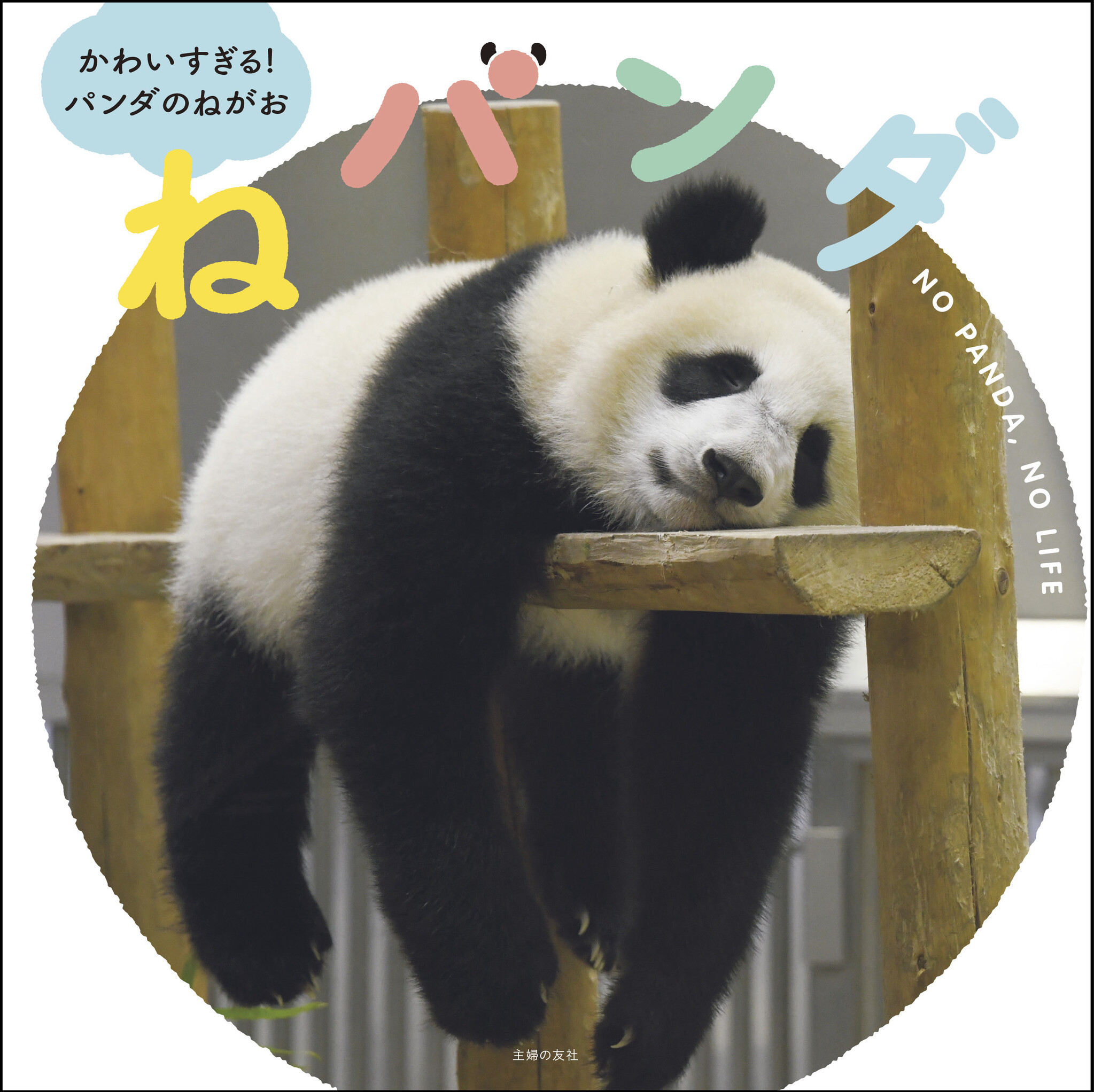 pandaさま www.krzysztofbialy.com