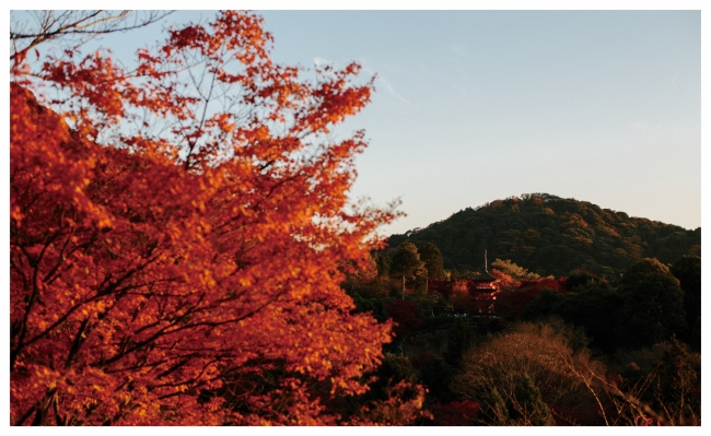 秋　Autumn
