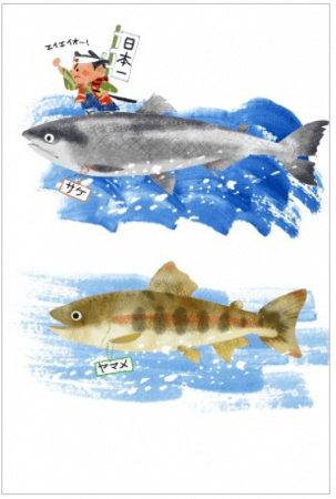 11月1日 木 は 寿司の日 回転寿司になれる魚図鑑 で 寿司の日がもっと楽しくなる 企業リリース 日刊工業新聞 電子版