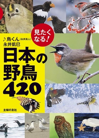 思わず鳥を探したくなる 野鳥図鑑を発売 日本で見られる鳥 見たい鳥４２０種を厳選 求愛 争い 子育てなどリアルな姿を美しい写真でたっぷり紹介 株式会社主婦の友社 のプレスリリース