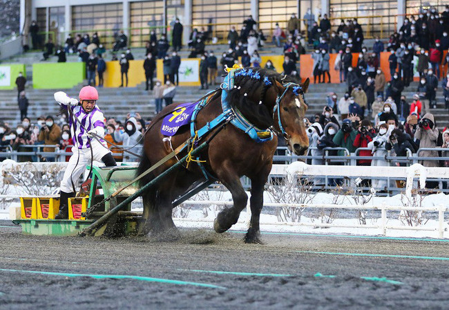 北海道独自の競馬、ばんえい競馬