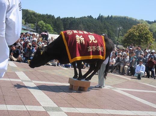 【岡山県】地方で高校生活をしてみませんか？全国募集高校紹介！　「岡山県立新見高等学校」　（新見市）