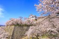 「晴れの国おかやま」で春と歴史のロマンを満喫!樹齢約1000年の一本桜など県内屈指の“歴史と調和する”桜の名所5選