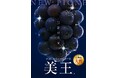 「一粒の極上体験」日本一のピオーネ産地・岡山県びほくエリアのピオーネをご堪能ください！