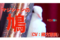 緒方恵美がマジシャンには欠かせない「ハト」のアテレコに初挑戦！？CV部最新作「マジシャンの鳩」が本日公開！
