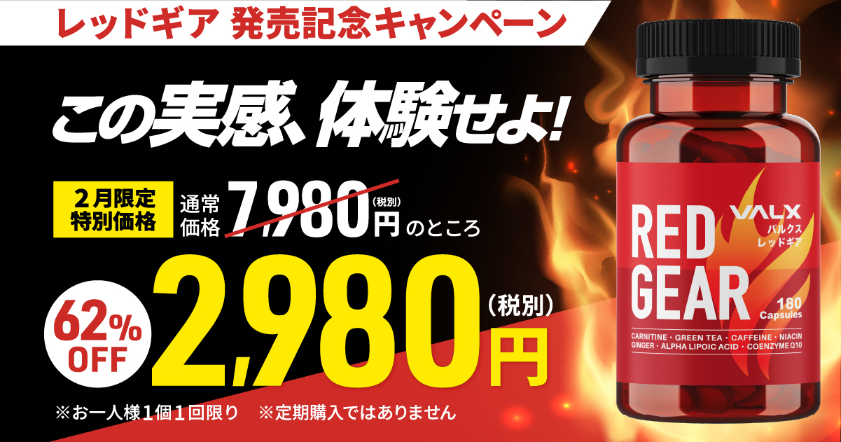 91％以上節約 VALX REDGEAR バルクス レッドギア ５個セット