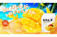【新商品】初夏の気分を鮮やかに彩る「VALX ホエイプロテイン マンゴー風味」が数量限定で6月23日(月)より販売開始