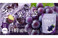濃厚でジューシーな一杯。ぶどうの甘みをぎゅっと凝縮した『VALXホエイプロテイン 巨峰風味』3月9日(月)から数量限定で新登場！
