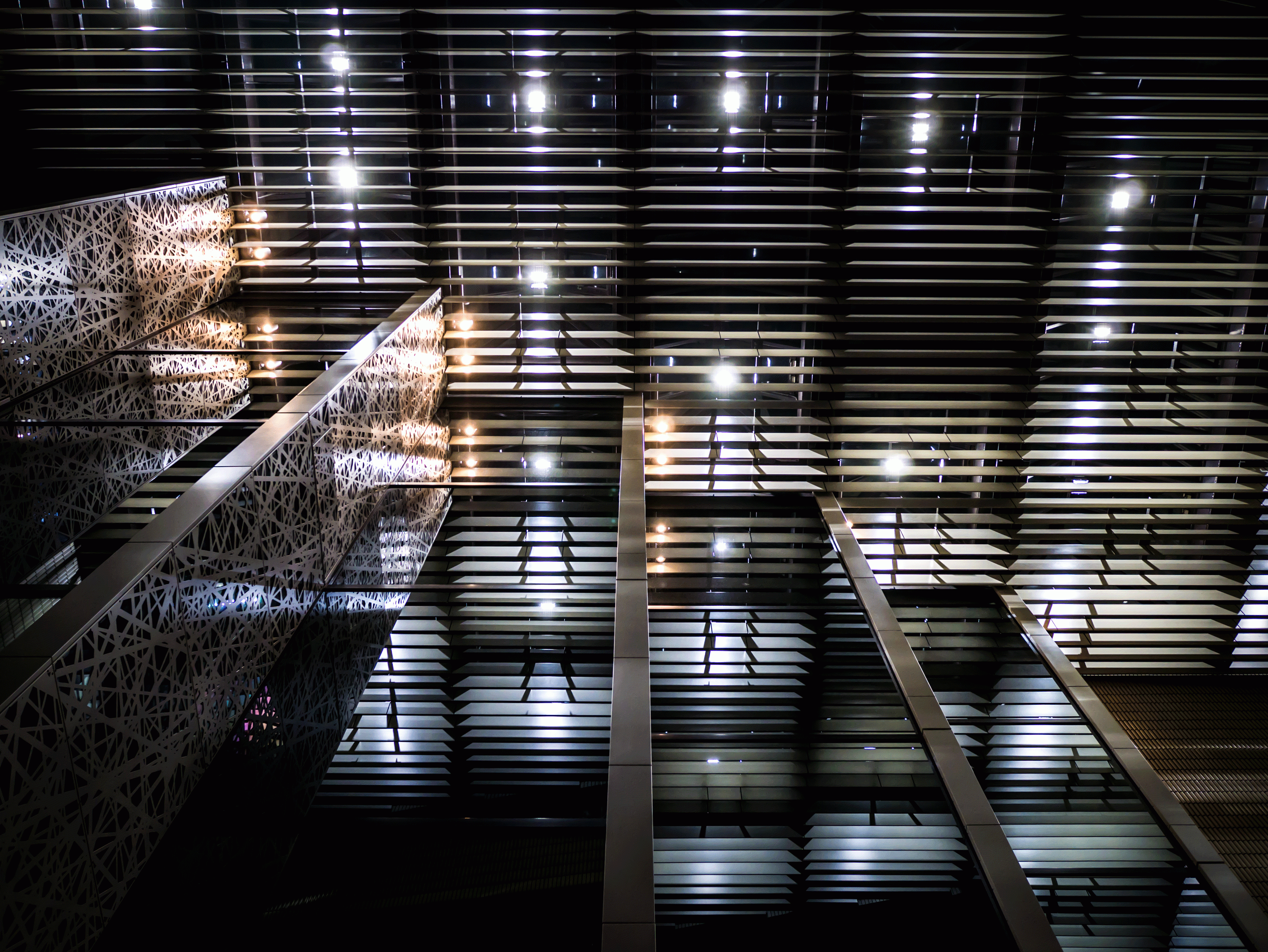 みなと横浜の夜景２（撮影：中野将行）