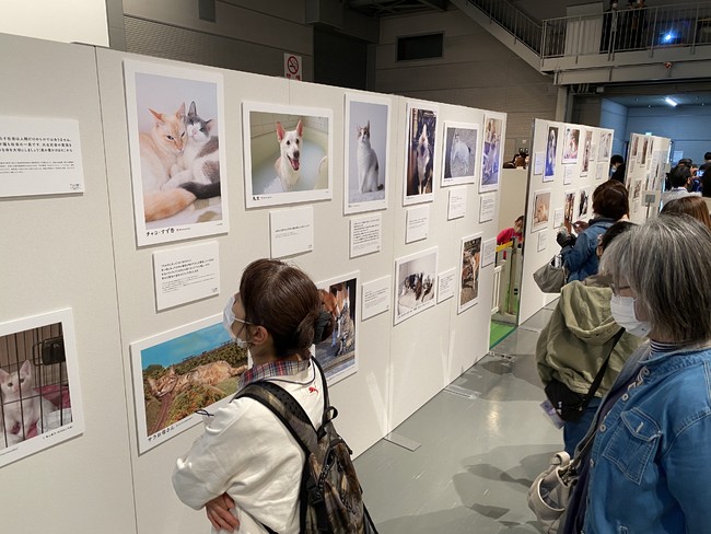 写真展の様子