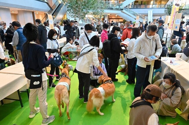 譲渡会エリアで保護犬とふれあいながら保護団体スタッフの話を聞く来場者 譲渡会エリアで保護犬とふれあいながら保護団体スタッフの話を聞く来場者