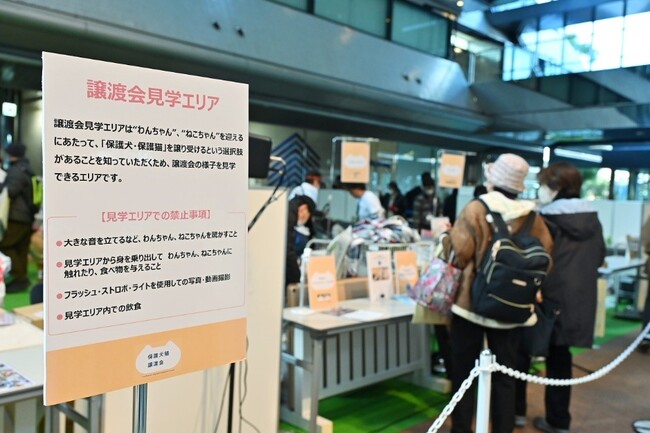 譲渡会エリアの予約チケットを持たない方も入れる「見学エリア」も用意 譲渡会エリアの予約チケットを持たない方も入れる「見学エリア」も用意