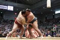 大相撲三月場所(エディオンアリーナ大阪)の「マスA席」観戦チケット付き宿泊プランを販売