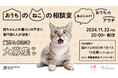 飼い主とねこにとってにゃんとも幸せな住まいとくらしを応援!「おうちのねこの相談室~あぶニャイ!おうちのアウチ~」11月22日(金) 20:00~ YouTube配信決定