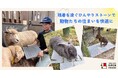 残暑を凌ぐひんやりストーンで動物たちの住まいを快適に