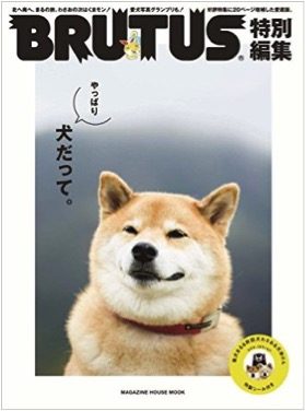 インスタグラムのフォロワー数日本5位の 柴犬まる がインバウンド