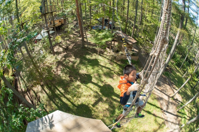 樹上10m以上となる高さでの冒険を味わえます。