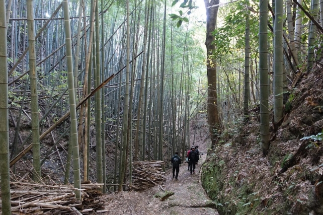 アドベンチャー目線で見れば日本の田舎は宝の山 企業リリース | 日刊