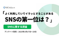 【SNSに関する調査】よく利用していてイラッとすることがあるSNSの第一位は 「X (旧Twitter) 」。