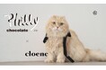 【cloenc】「Philly chocolate(フィリーチョコレート)」との初コラボアイテムをオンラインストア＆一部店舗にて１月23日（金）より発売！