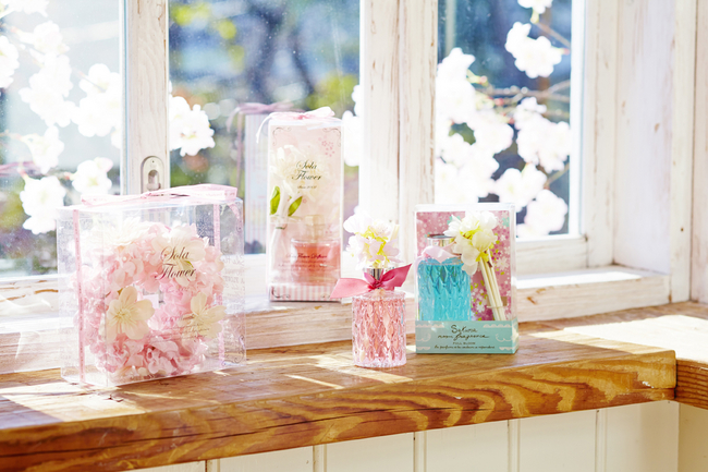 お部屋に春の彩りを