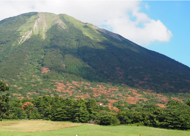 大山の里山