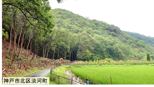 神戸の田畑横の里山