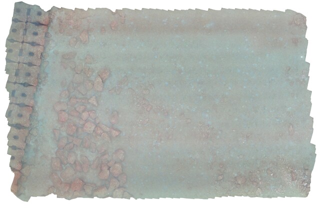 海底のオルソ画像