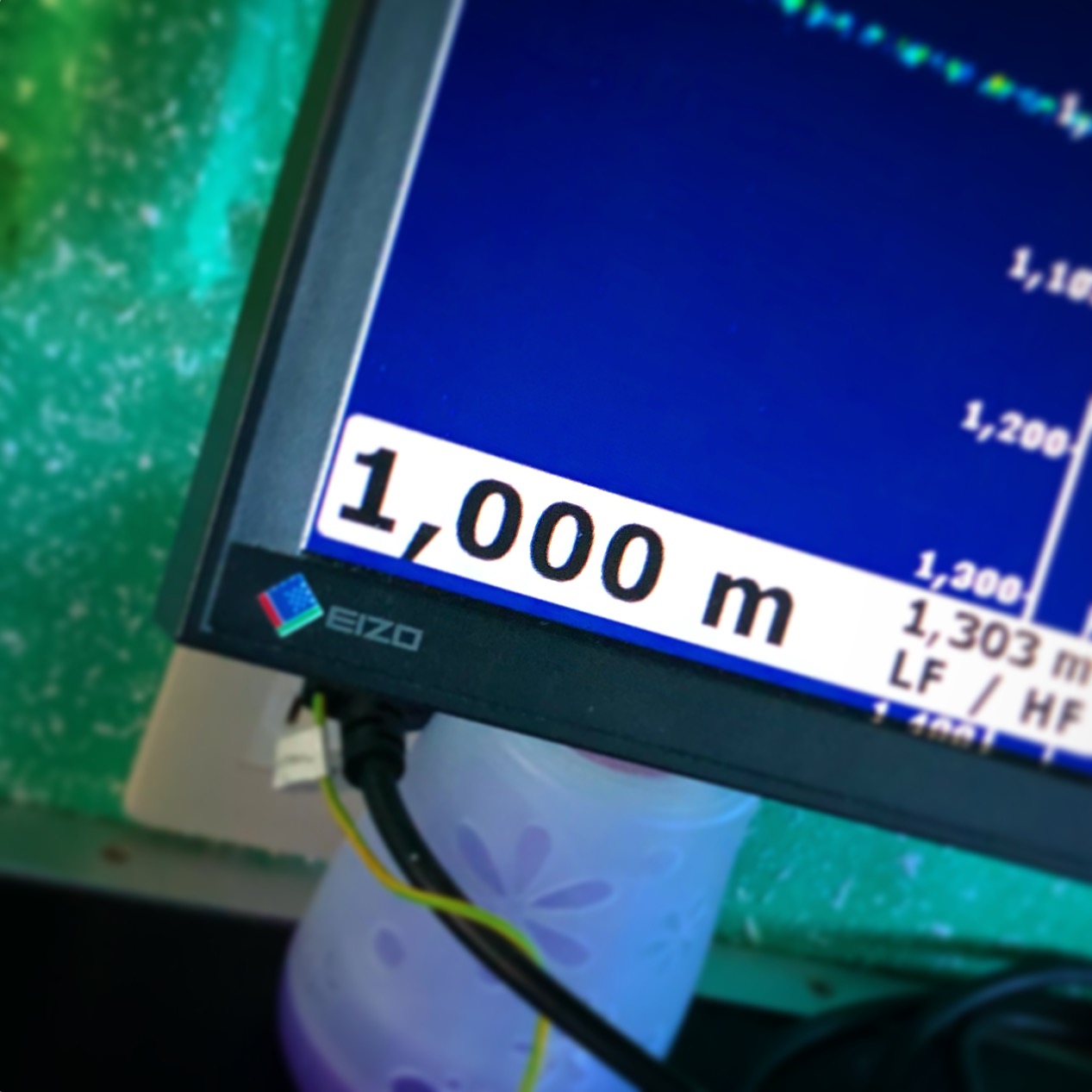 D24434 7 173833 0