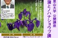 【千葉県佐倉市】佐倉里山大学公開講座「花菖蒲とノハナショウブ講演会」開催(10/12)