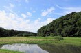 【千葉県佐倉市】<佐倉市初>畔田谷津が環境省「自然共生サイト」に認定